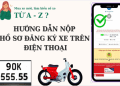Hướng dẫn đăng ký luồng xanh cho xe tải online nhanh chóng chỉ với 3 bước đơn giản.
