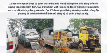 Giải đáp: Niên hạn xe bán tải bao nhiêu năm? Các trường hợp phải đăng kiểm lại