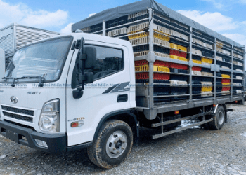 Cần thuê xe tải chuyển nhà cũ hay mới So sánh ưu nhược điểm